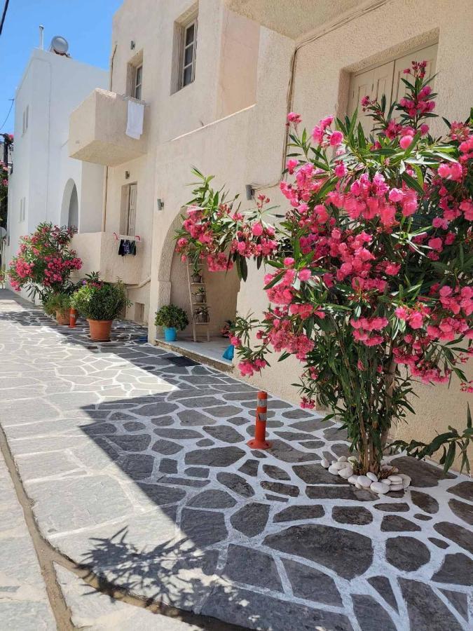Tsakas Daire Naxos City